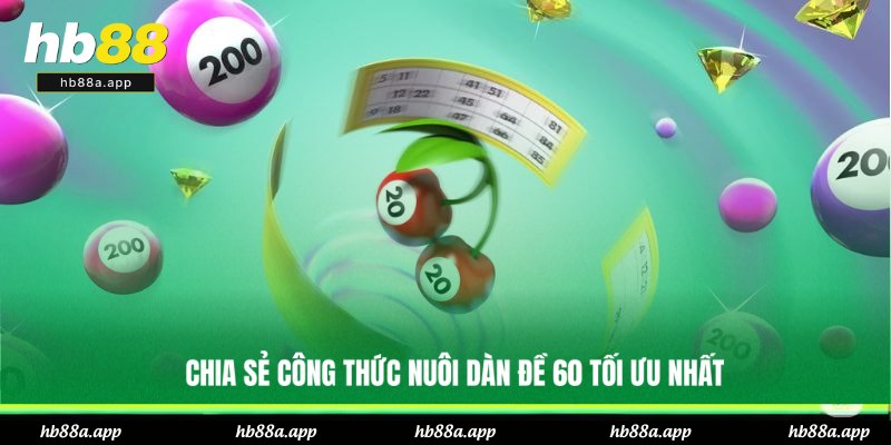 Mẹo nuôi dàn đề 60 con kiếm lãi lớn