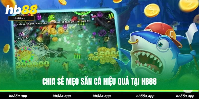 Bật mí cách chơi bắn cá bất bại