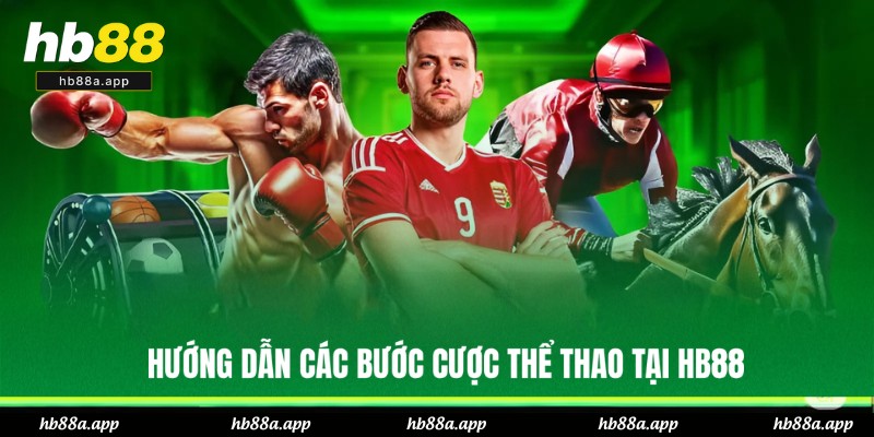 Quy trình cược thể thao HB88 chuẩn xác