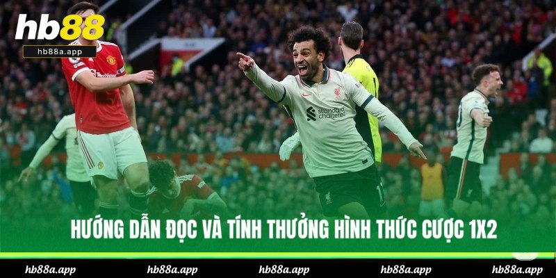 Cách đọc và tính thưởng kèo bóng đá châu Âu