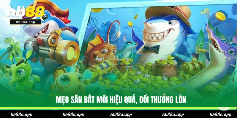 Bí kíp tiêu diệt sinh vật biển thắng lớn