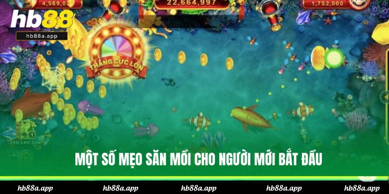 Tuyệt chiêu săn bắt dễ tích lũy điểm cao