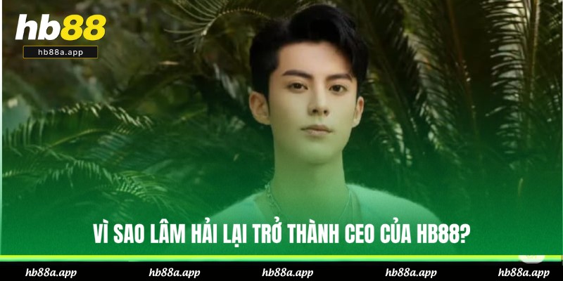 Lý do Lâm Hải góp mặt vào thương hiệu